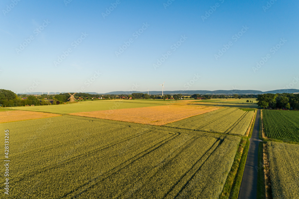 Aspahltierter Feldweg mit Getreidefeldern