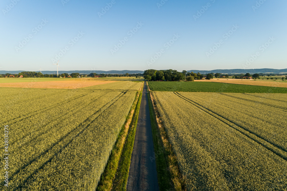 Aspahltierter Feldweg mit Getreidefeldern