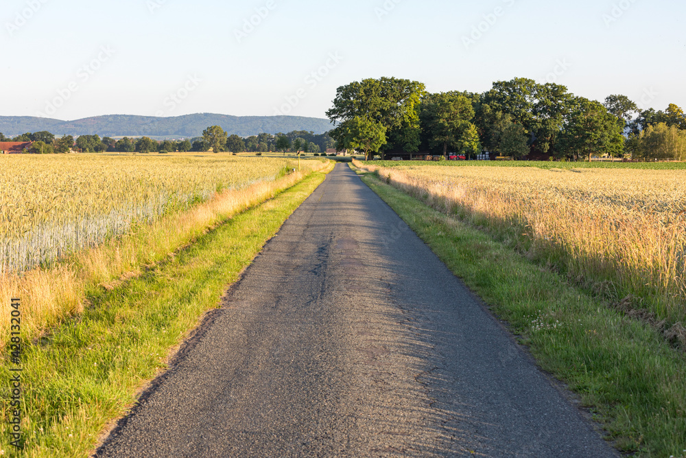 Aspahltierter Feldweg mit Getreidefeldern