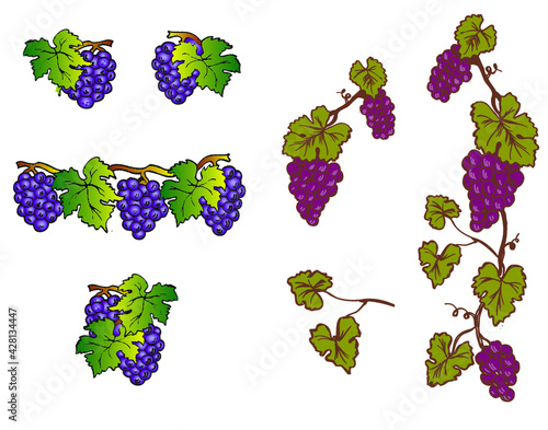 grappes de raisin