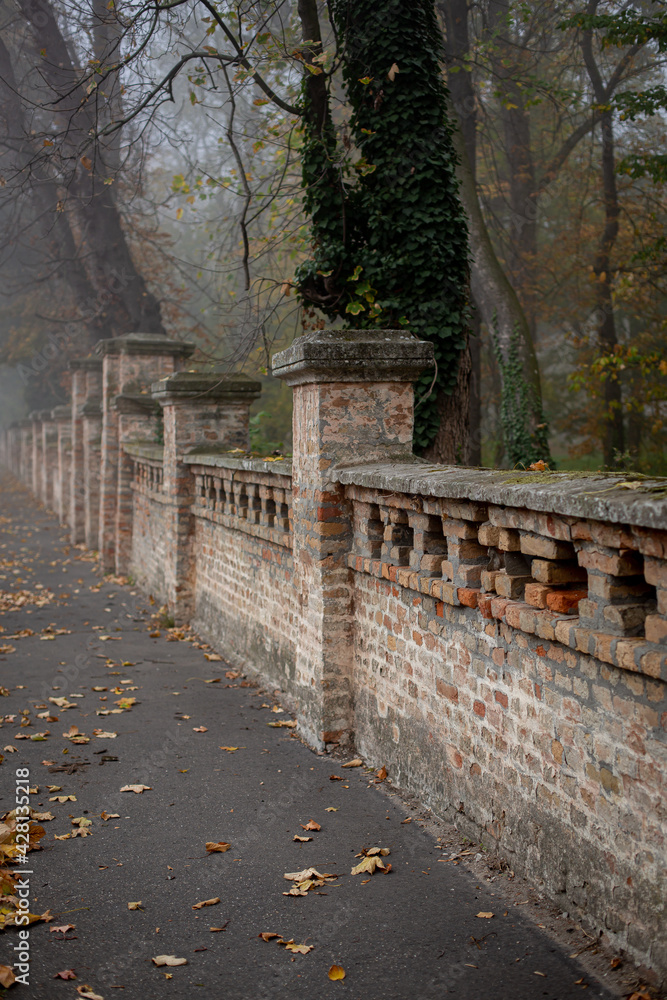 autumn in the park