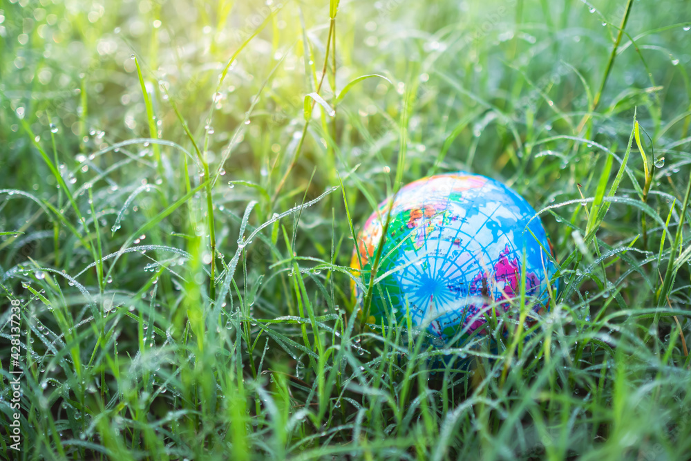 Globe or earth on fresh dew grass with sunlight. saving protect, environment, arbor day, card for world earth day, conservation. Globe or earth on fresh dew grass with sunlight. saving protect, environment, arbor day, card for world earth day, conservation.