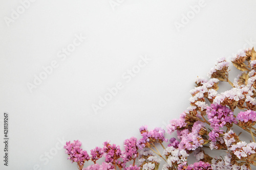 Flowers composition. Gypsophila flowers on grey background. Spring  summer concept. Flat lay  top view.