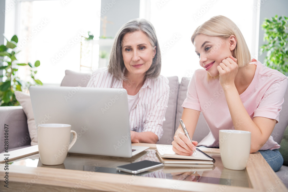 Photo of happy charming grey haired retired woman blonde lady sit sofa look laptop write note in house indoors Photo of happy charming grey haired retired woman blonde lady sit sofa look laptop write note in house indoors