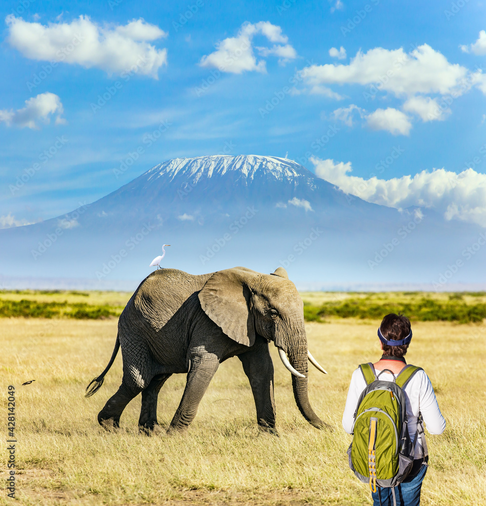 Fototapeta premium Woman with backpack watching animals