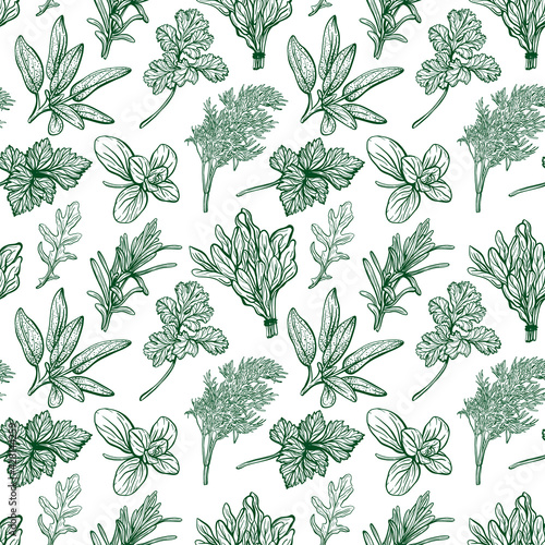 Seasonings and herbs pattern. Aromatic spices, healthy herbs. Basil, oregano, parsley, dill.Hand-drawn vector illustration