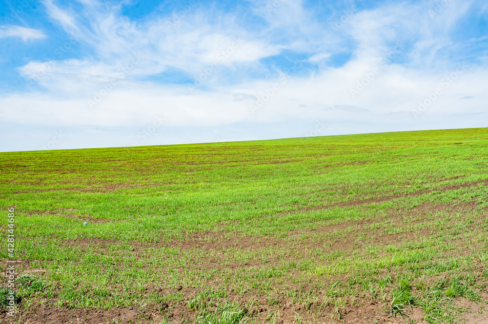 Green arable land is the land under temporary agricultural crops Green arable land is the land under temporary agricultural crops
