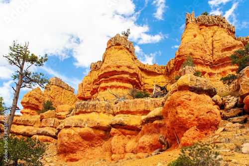 The most popular trails in Red Canyon