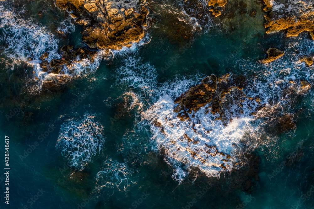 coral reef in the sea