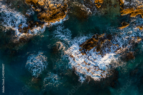 coral reef in the sea © Vadim