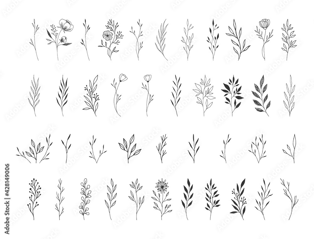 Fototapeta Set of hand drawn flowers, herbs, leaves, twigs of flowers. Vector isolated illustration.