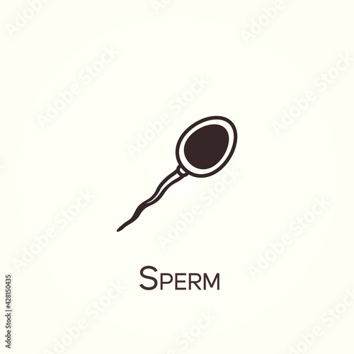 Minimalist human sperm cell. Sperm vector line icon. Simple element illustration. Sperm icon
