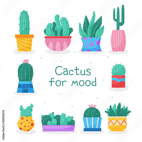 Set of trendy, vector, indoor plants in pots for home. Cacti isolated on white background. Bright flat illustrations. Printing, fabric. textiles, interior. Vector illustration