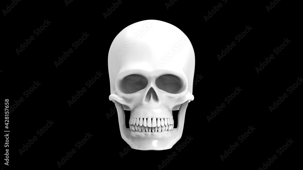 Skull of the human isolated on a black background. Black and white 3d render. Full face white skull 