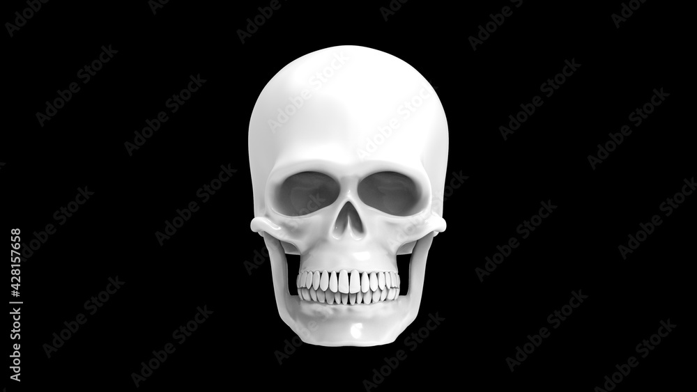Skull of the human isolated on a black background. Black and white 3d render. Full face white skull Skull of the human isolated on a black background. Black and white 3d render. Full face white skull