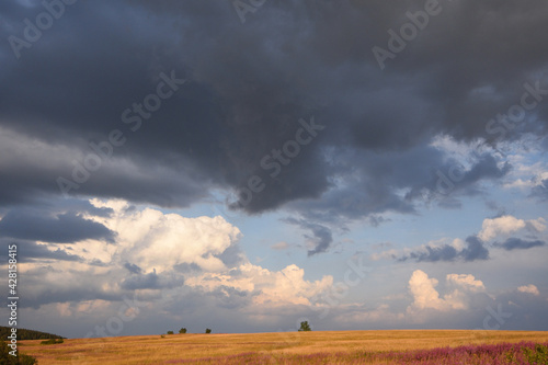 Auf dem Erzgebirgskamm bei Adolfsgrün im Grenzgebiet photo