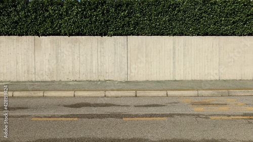House fence consisting of a concrete wall and a hedge above. Cement sidewalk and asphalt street in front. Background for copy space