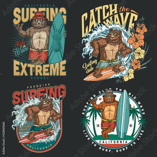 California surfing vintage colorful labels