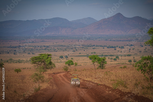 Road in savannah in Kidepo Valley in Uganda, Africa