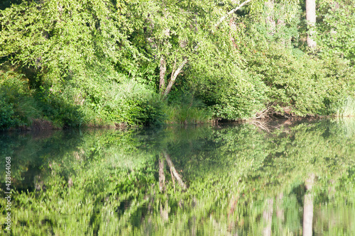 Grass and growth reflected in water for an abstraction