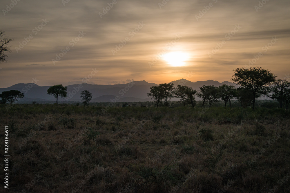 sunset in the savannah in Kidepo Valley, Uganda, Africa