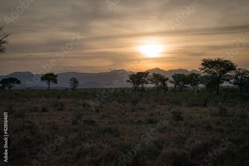 sunset in the savannah in Kidepo Valley  Uganda  Africa