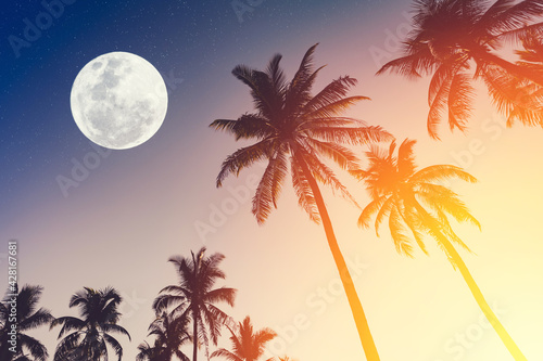 Fototapeta Naklejka Na Ścianę i Meble -  Tropical night. Full moon and palm tree abstract background.