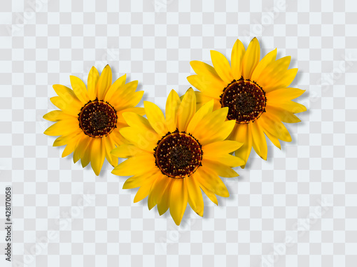 Realistic sunflower bouquet, sunflower flowers. Seasonal sales.