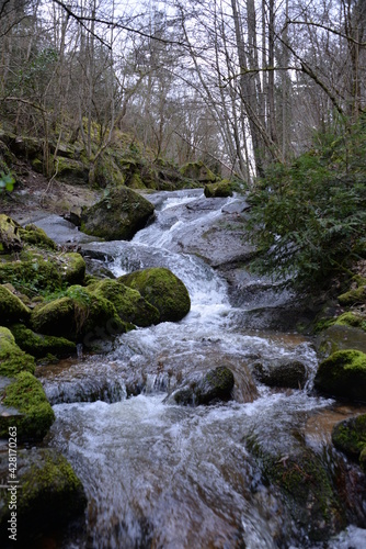 Ruisseau de montagne