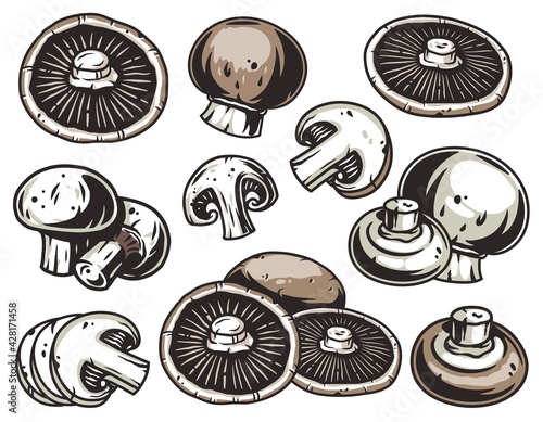 Mushroom picking of champignon. White button mushrooms. Vegetarian fungus cremini for food. Nature fungi portobello for healthy nutrition
