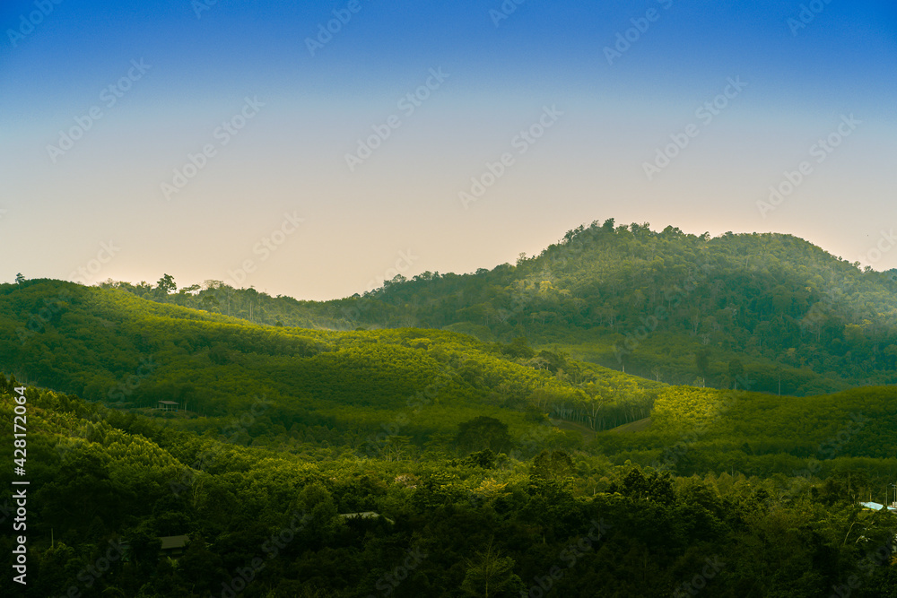 Obraz premium The Mountain View is covered with green trees and the light strikes at some point.