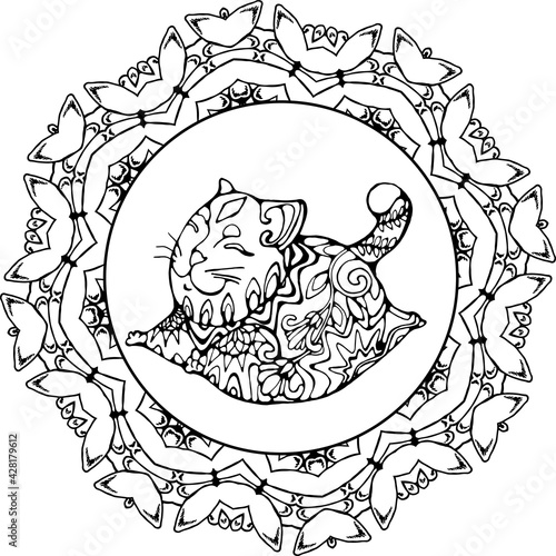 Happy cat in yoga pose with ornament and smile. Flower mandala.