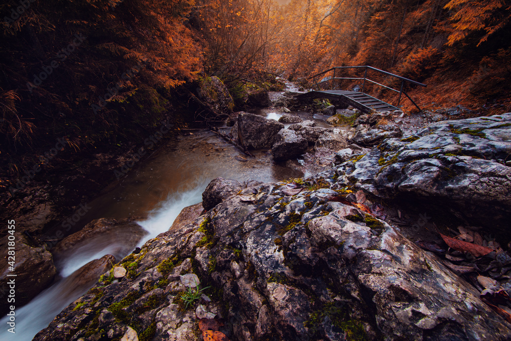 Pieniny - Homole