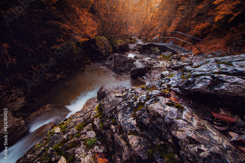Obraz na płótnie Pieniny - Homole w salonie
