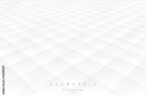 Gray and white subtle lattice pattern perspective abstract background. Modern and minimal element. Repeat geometric grid design. You can use for cover template, poster, banner web, flyer. EPS10