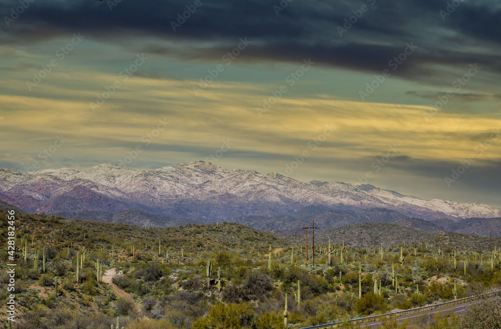 Arizona desert landscape with saguaro cactus at sunset with snow covered mountains