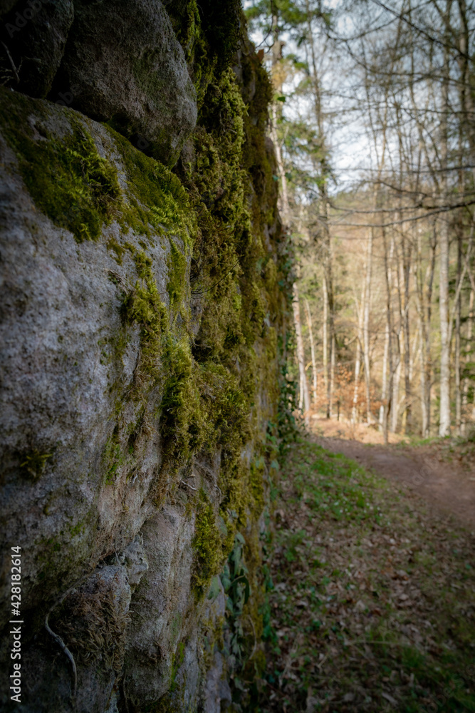 Ruine Waldeck, Xanderklinge, Nagold, Schwarzwald, Mauer leicht im Schatten von Moos bedeckt Ruine Waldeck, Xanderklinge, Nagold, Schwarzwald, Mauer leicht im Schatten von Moos bedeckt