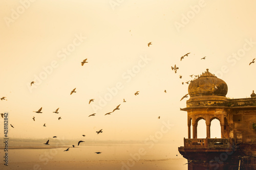 Birds flying around Ganges Rives