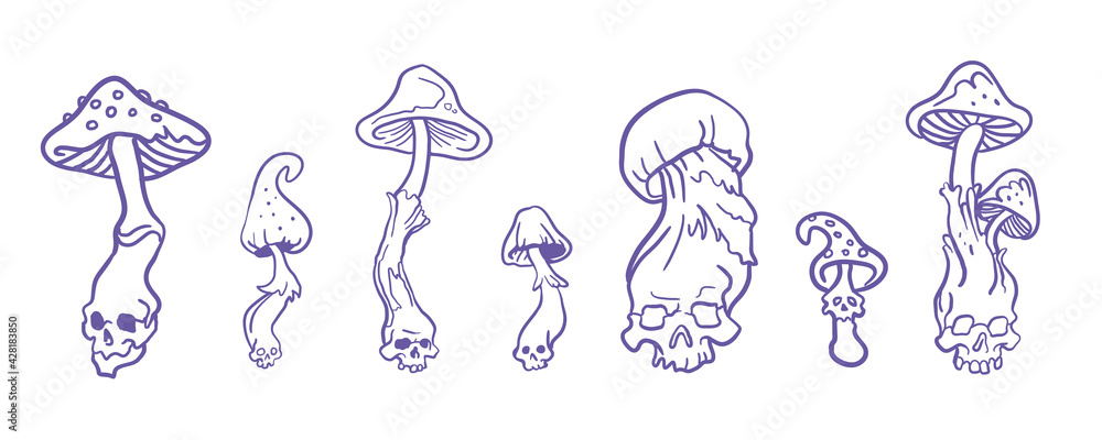 Fototapeta premium Skulls mushrooms vector outline illustration for halloween magic concept for esoteric design