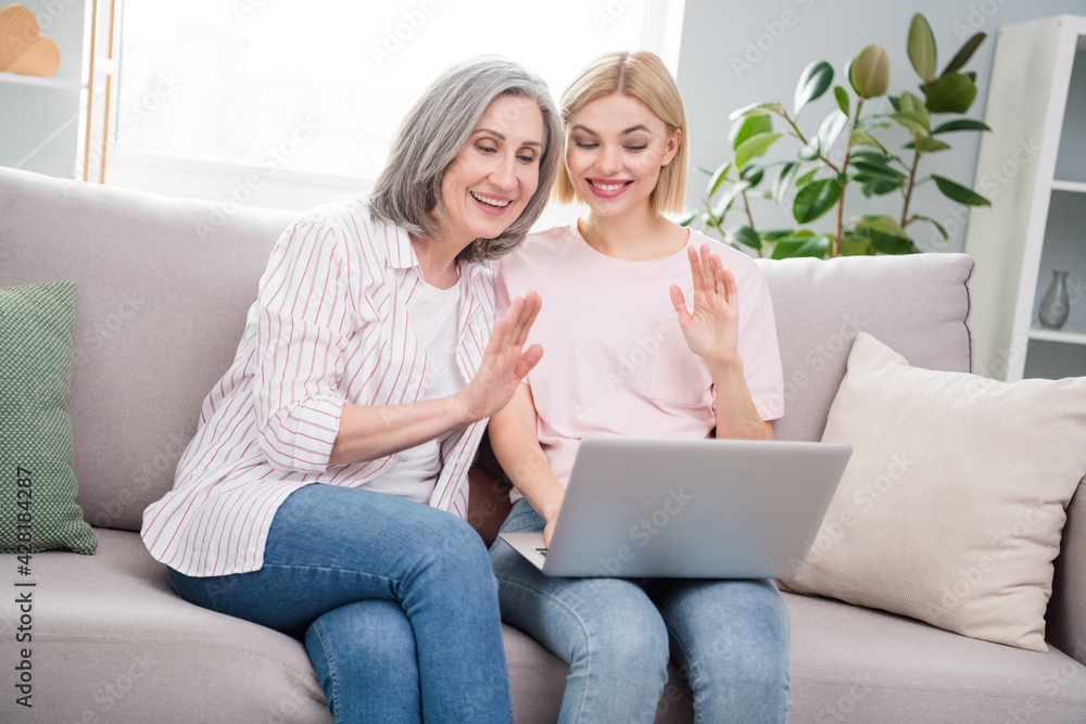 Portrait of two attractive elderly retired cheerful women using laptop waving hello sitting on divan at home house flat indoor