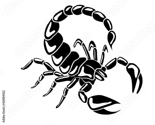 Graphic scorpion isolated on white background, vector illustration for tattoo and print