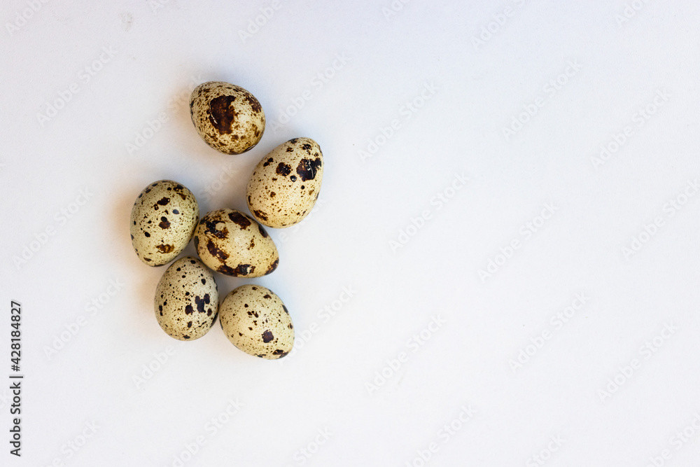 quail eggs quail eggs