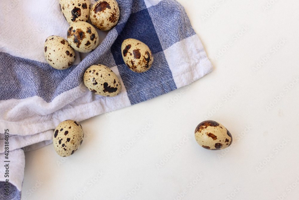 quail eggs quail eggs
