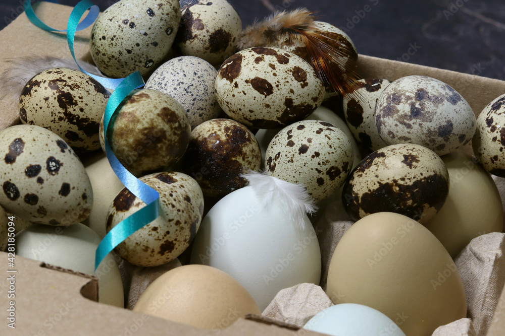 Obraz premium Quail eggs neatly laid for Easter