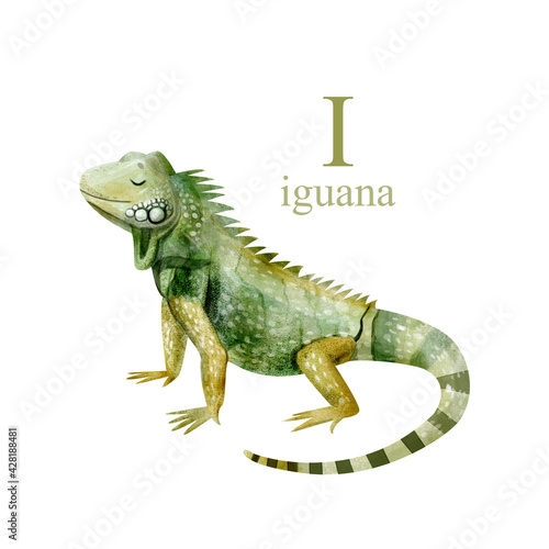 Watercolor illustration of a cute iguana on white background. Cute animal alphabet series A-Z © artforwarm