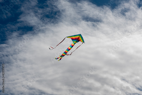 Colorful Kites flying over the sky