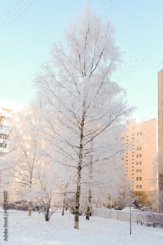 winter in the city © Виктор Алексеев
