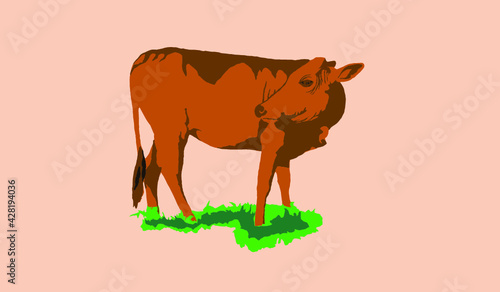 cow vector