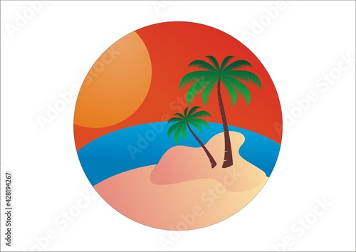 palm coconut trees on the beach