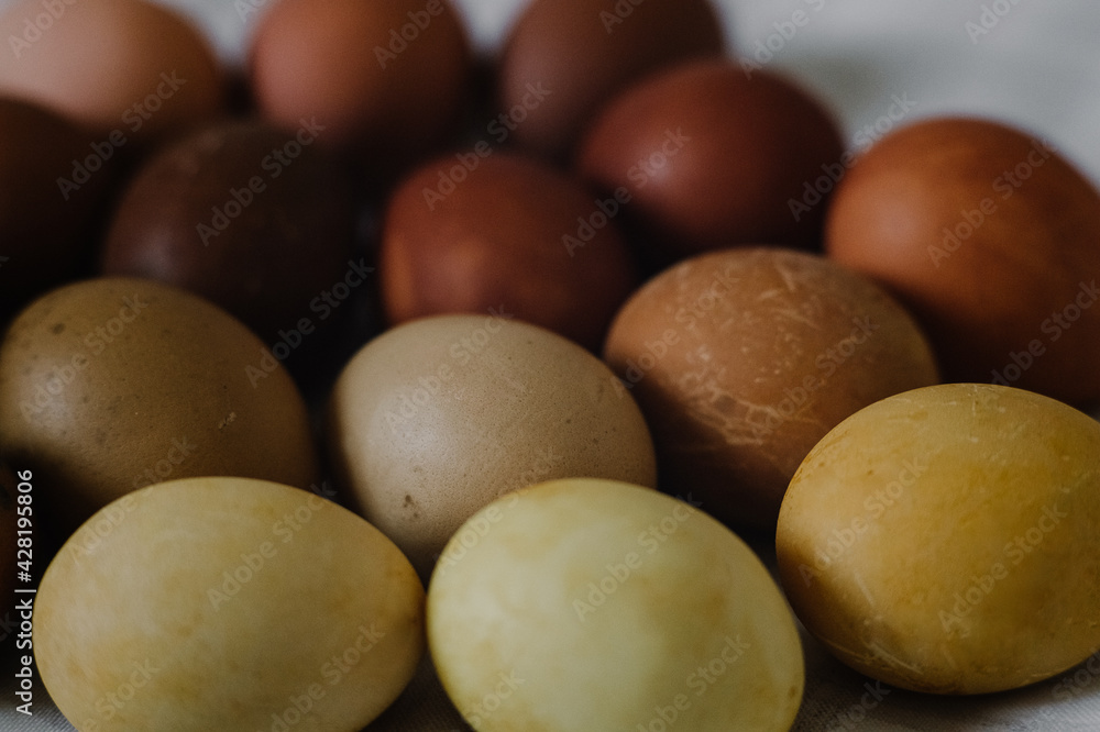brown eggs, eggs on wood, ester, dried flowers, dark colors, palette of eggs, ester is coming, rusty egg colors brown eggs, eggs on wood, ester, dried flowers, dark colors, palette of eggs, ester is coming, rusty egg colors